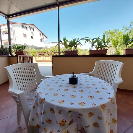 Mara Apartment